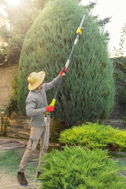Best Tree Preservation Services  in Heathcote, NJ